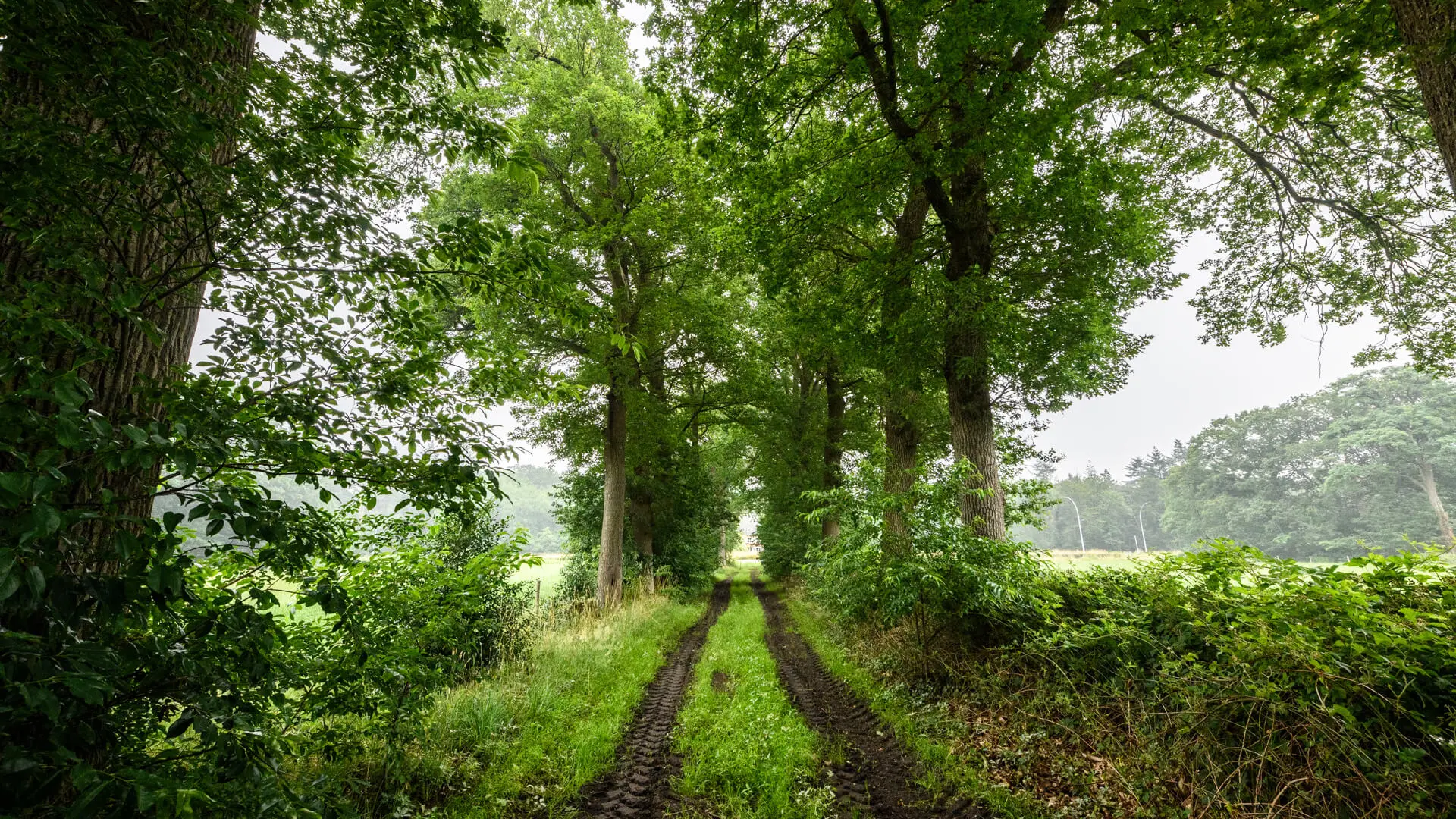 Wonen in alle rust? De Blaak is dé place to be.